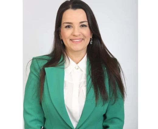 Το προεκλογικό ράλι των εκποιήσεων